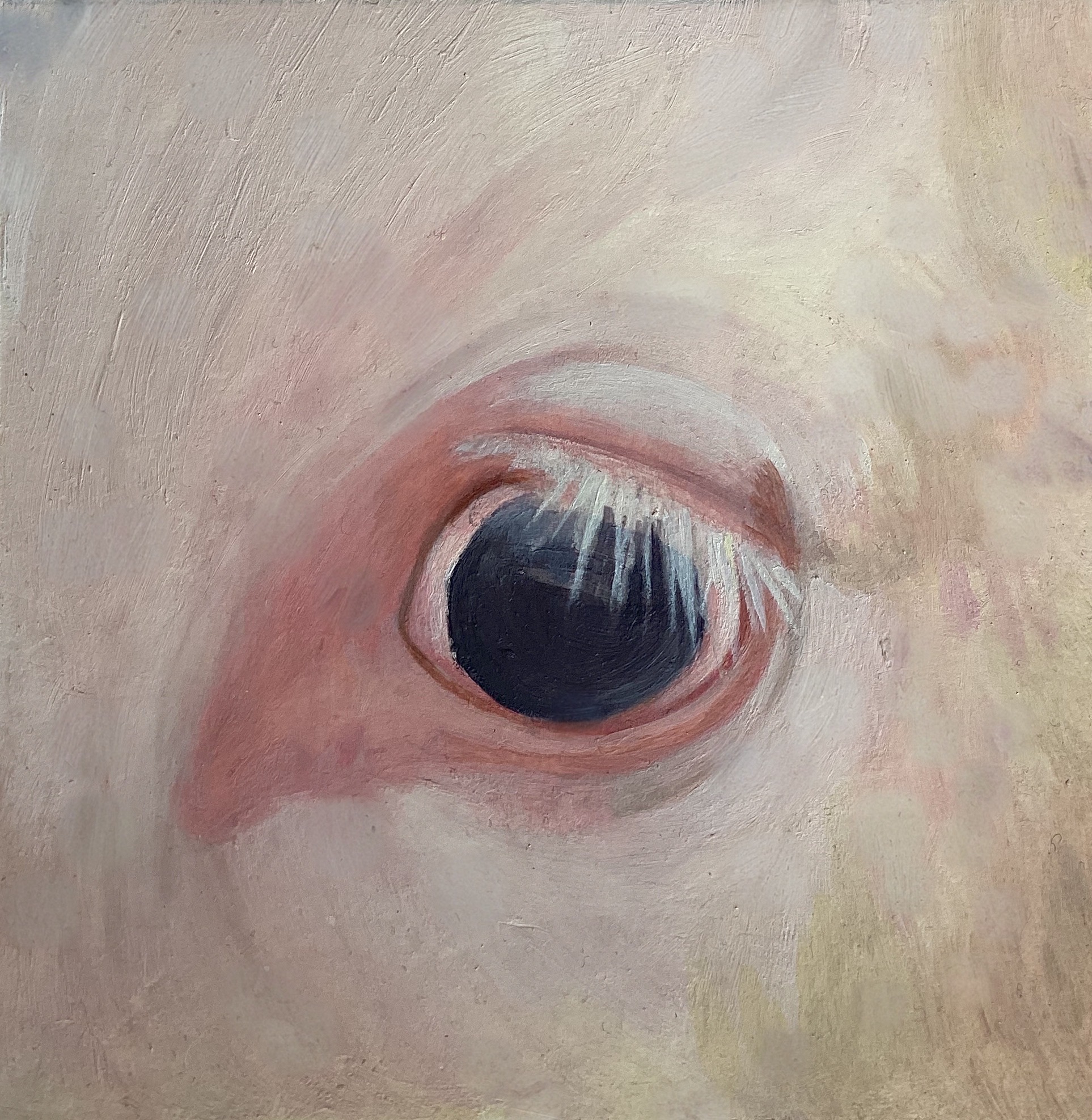 İYİLİK İÇİN SANAT DERNEĞİ