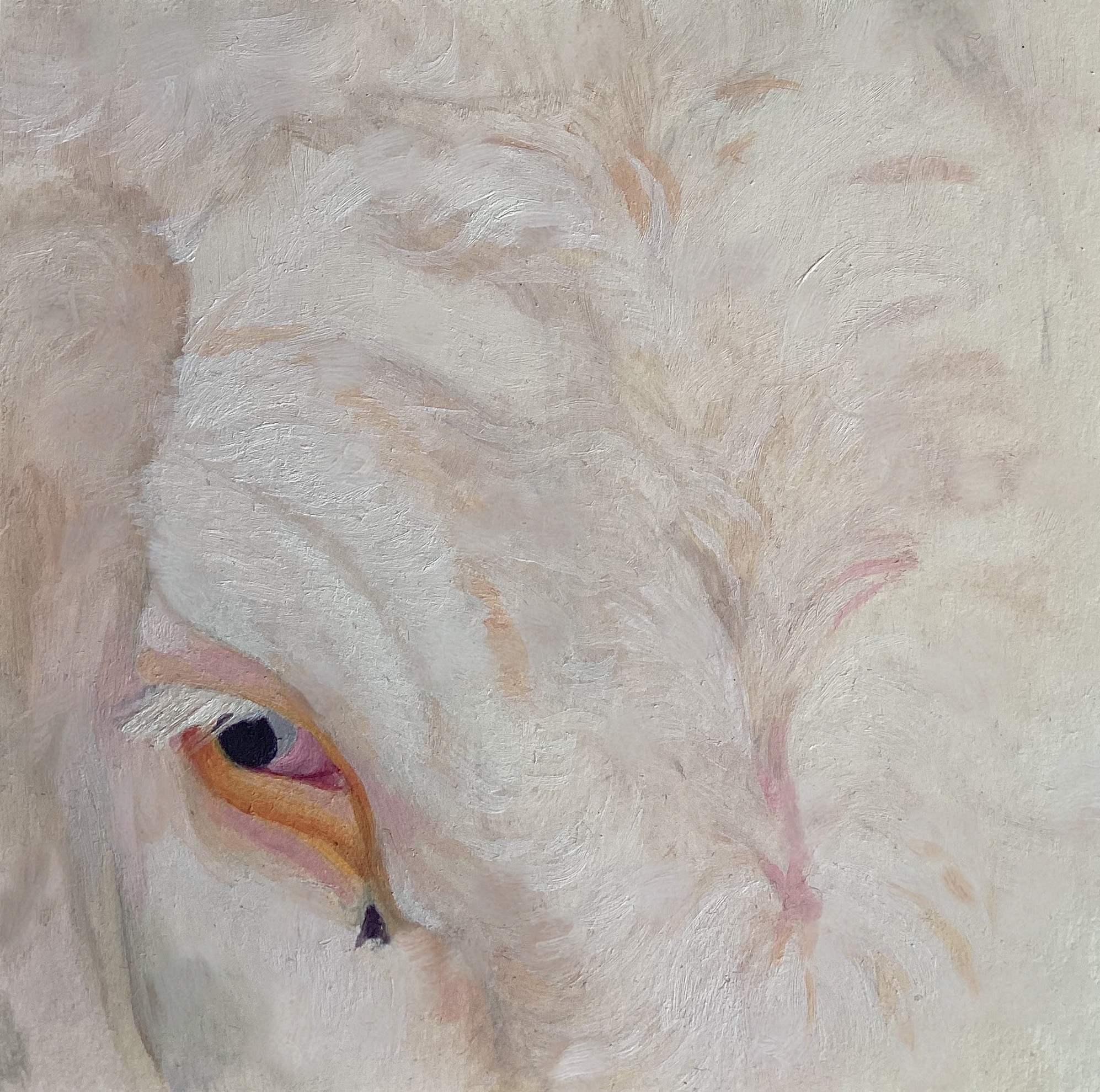 İYİLİK İÇİN SANAT DERNEĞİ